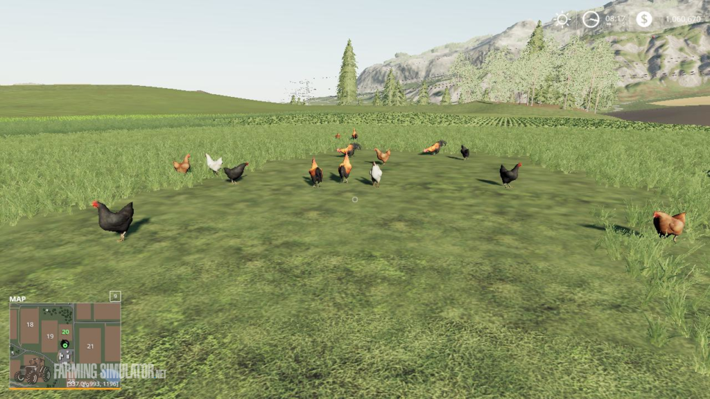 farming simulator 19 chickens guide