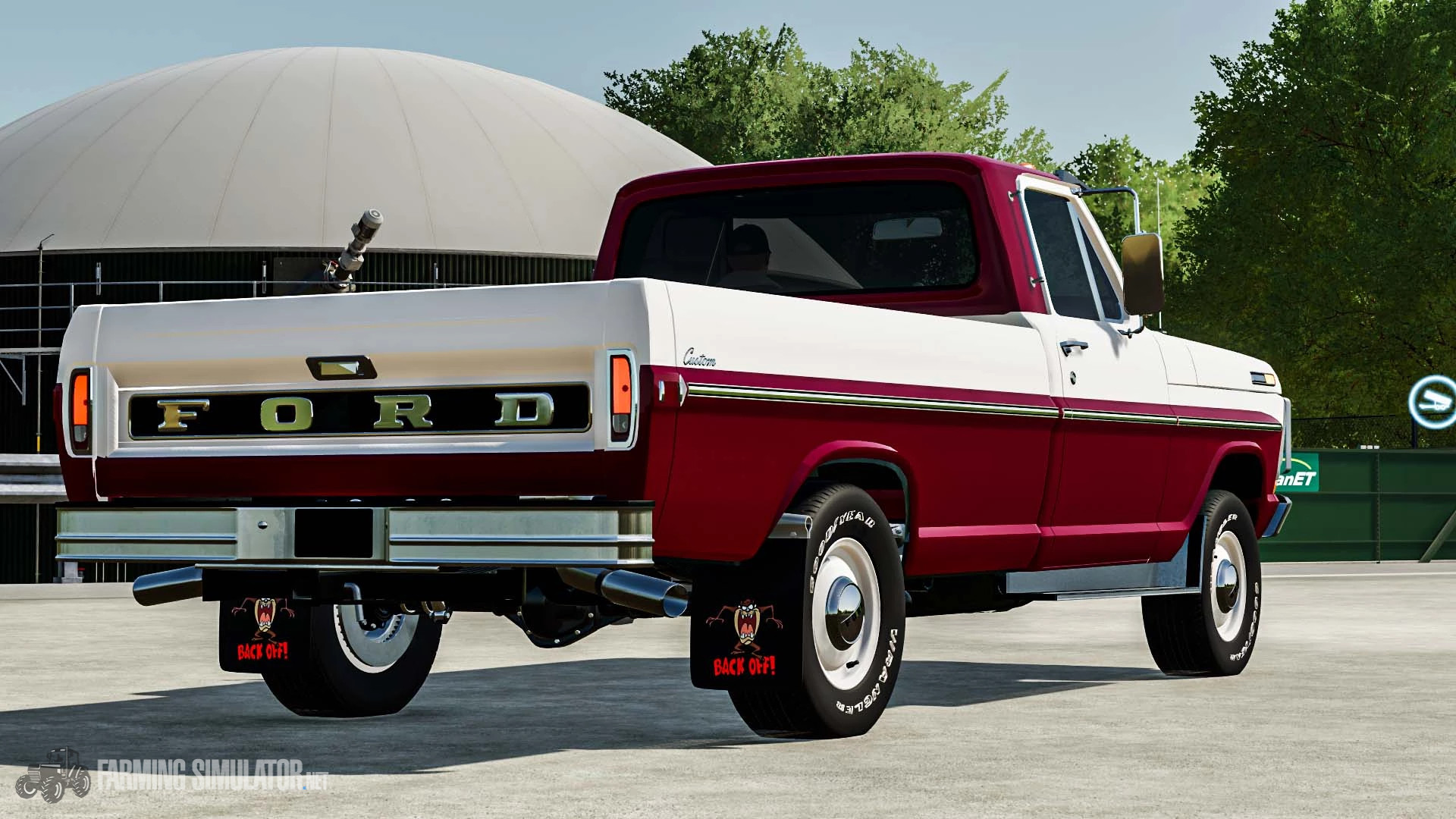 Ford f100